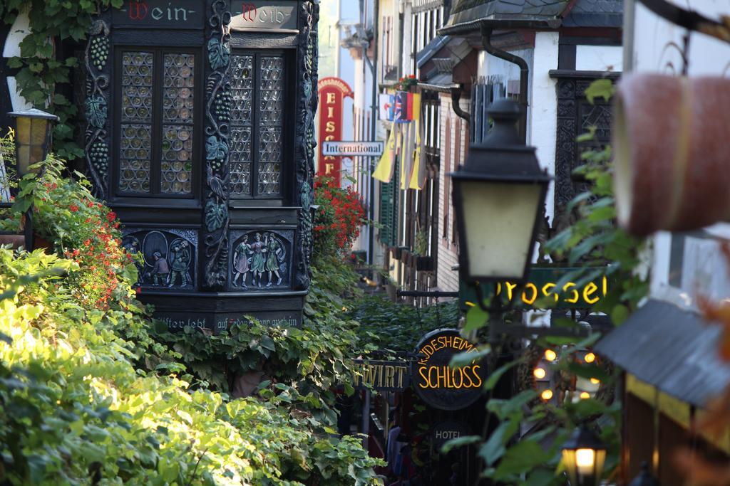 Teigenheim Lägenhet Rüdesheim am Rhein Rum bild