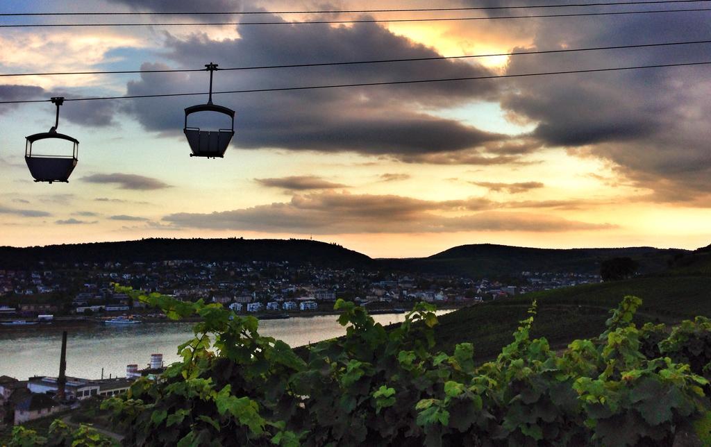 Teigenheim Lägenhet Rüdesheim am Rhein Rum bild